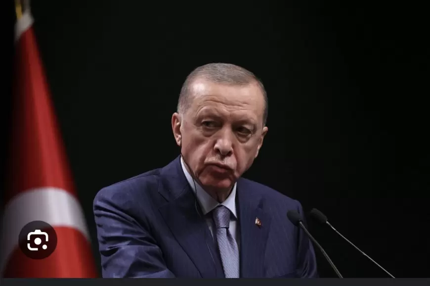 أردوغان ناقش انتهاكات حقوق الإنسان التي ترتكبها إسرائيل في غزة مع الرئيس السيسي ⁧‫