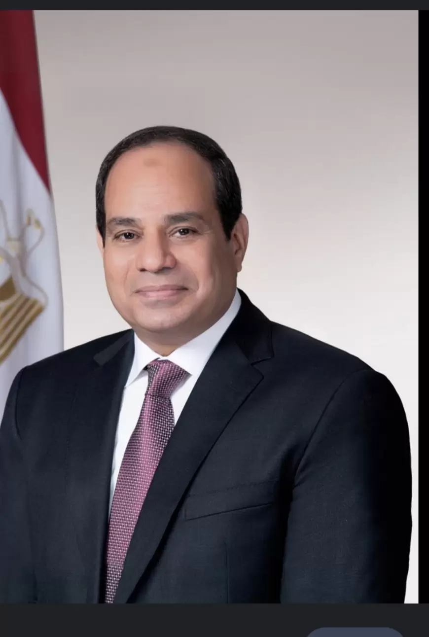 السيسي: الجيش سيحفظ أمن مصر القومي دون تجاوز