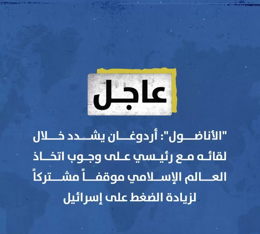 الأناضول": أردوغان يشدد خلال لقائه مع رئيسي على وجوب اتخاذ العالم الإسلامي موقفاً مشتركاً لزيادة الضغط على إسرائيل