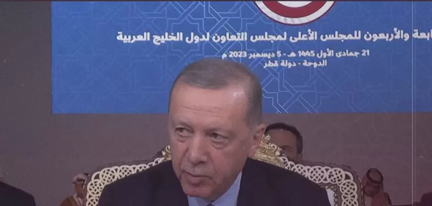 أردوغان: نقدر جهود قطر للوصول إلى هدنة إنسانية في غزة وكنا نأمل استمرارها