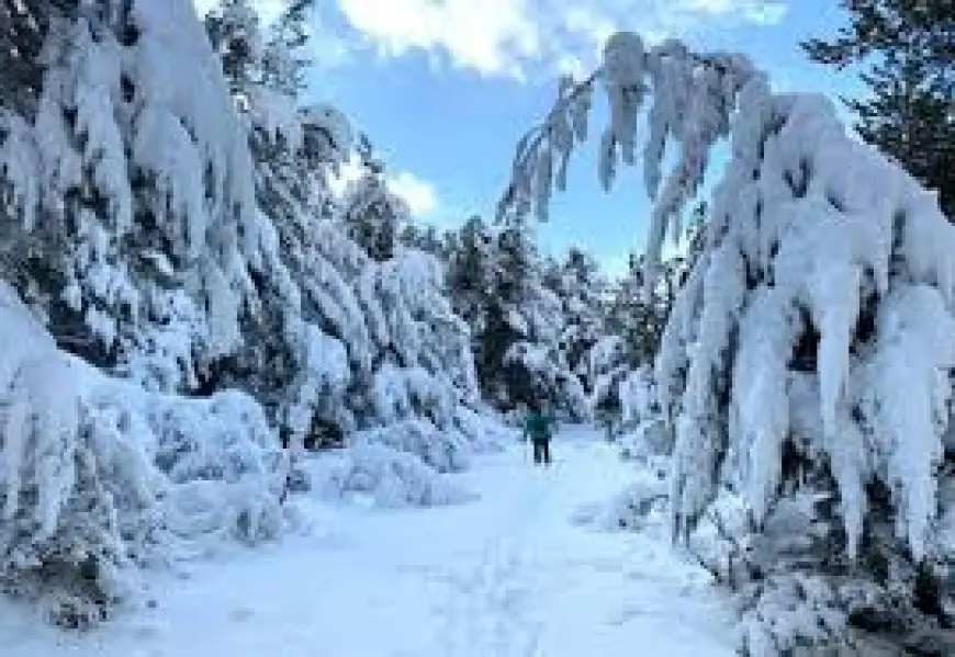 الطقس غدا غائم مع انخفاض بسيط بالحرارة وامطار غزيرة وثلوج على 1500م