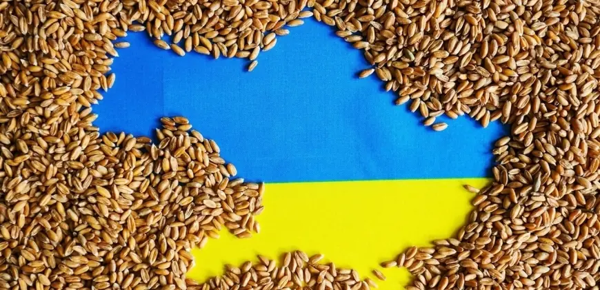 قفزة في صادرات الحبوب الأوكرانية.. هذه آخر الأرقام
