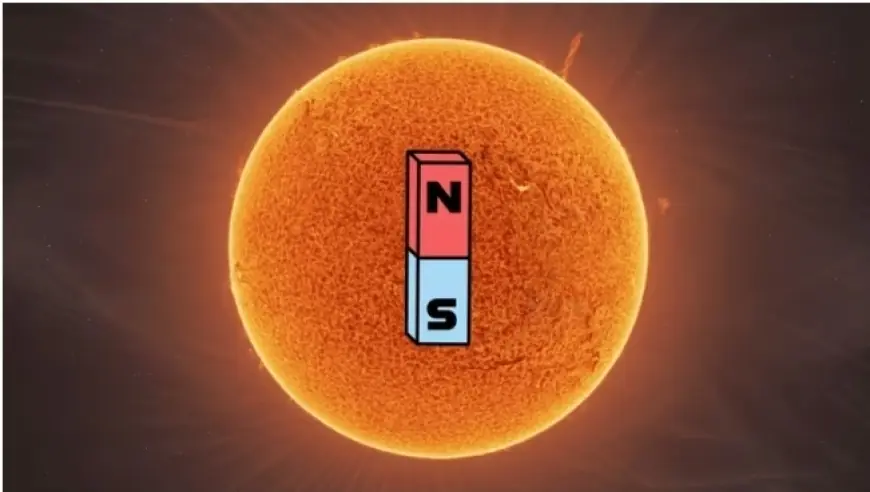 المجال المغناطيسي للشمس على وشك الانقلاب!.. إليكم ما يمكن حدوثه