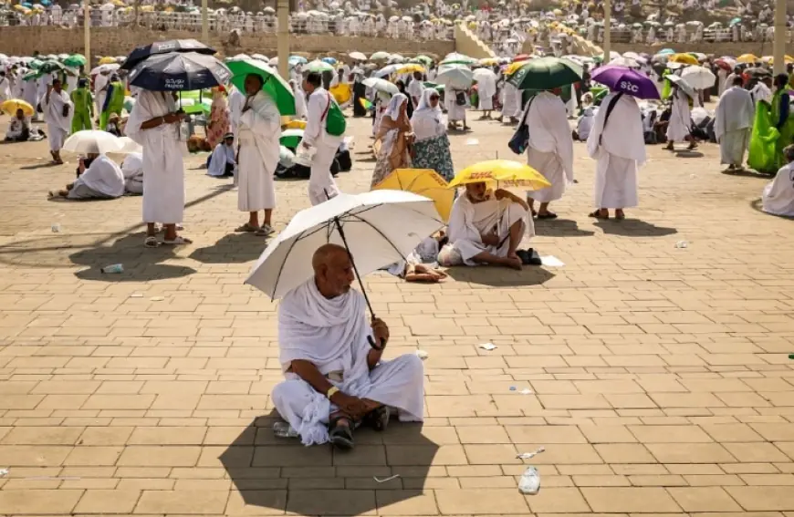 وفيات الحجاج المصريّين ترتفع إلى 672