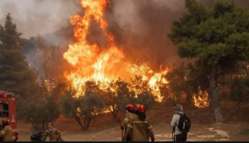 عمال إطفاء يخمدون حريقًا في غابة في جزيرة سيريفوس اليونانية