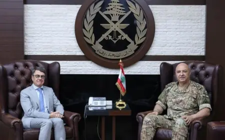 استقبالات العماد قائد الجيش