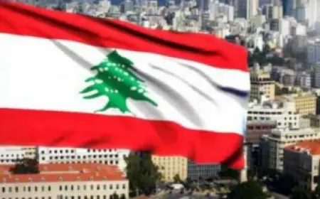 الاستثمارات الأجنبية المباشرة الوافدة إلى لبنان ترتفع بأكثر من 26 بالمئة