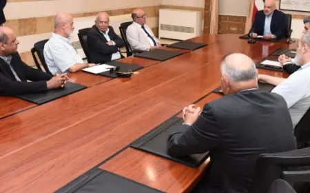 مولوي استقبل وفدا من البلدات الحدودية الجنوبية والتقى رياشي و4 نواب