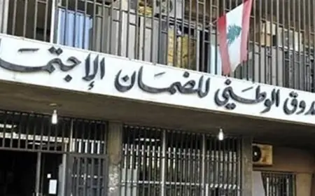 كركي : تسهيل استفادة شريك المضمون المتقاعد المتوفي من تقديمات الصندوق الصحية