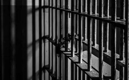 توقيف 5 أشخاص في ألمانيا لضلوعهم بجرائم ضدّ الإنسانية