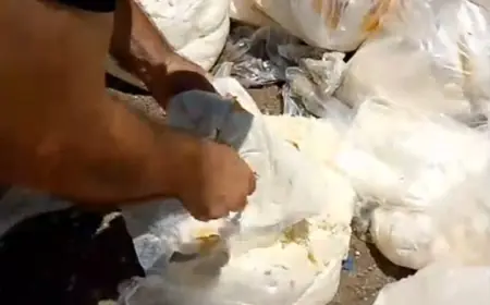 بالفيديو - مصادرة 100 كيلو من الموزاريلا الفاسدة في طرابلس.