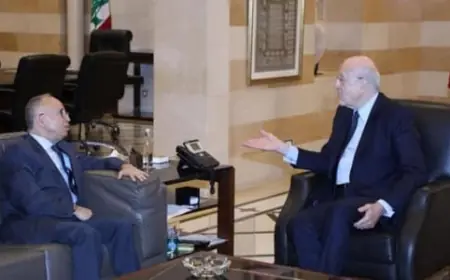ميقاتي بحث وسفير الجزائر في الأوضاع