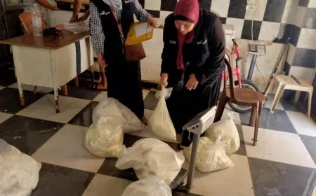 100 كيلو جبنه فاسدة في طرابلس!