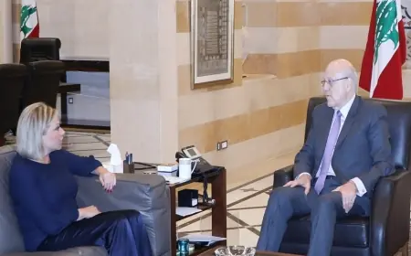 الأوضاع العامة بين ميقاتي وهنيس