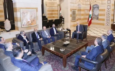 اللقاء الديمقراطي في السراي: لا مصلحة بشيطنة الحوار