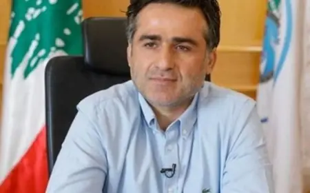 حمية: لبنان ليس عاجزاً ولا فقيراً