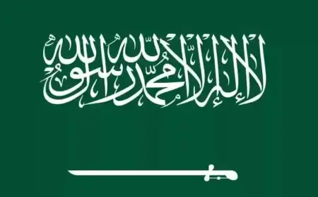 السعودية سيّرت جسرا جويا من 54 طائرة وآخر بحريا من 8 سفن لإغاثة غزة