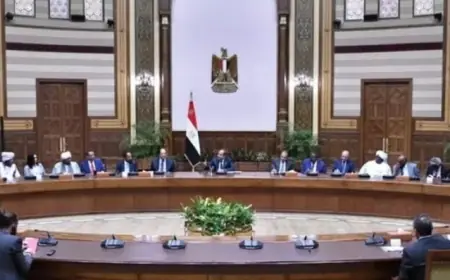 السيسي يلتقي وفداً سودانياً ويؤكد على حل سياسي شامل للأزمة السودانية