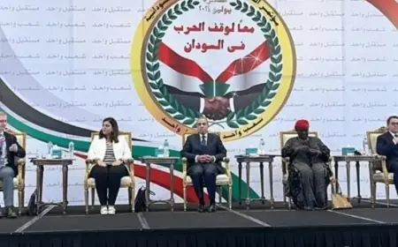 قادة سودانيون يمتنعون عن التوقيع على البيان الختامي في مؤتمر القاهرة