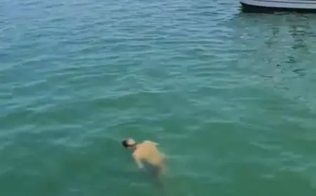العثور على جثة رجل عائمة على سطح البحر مقابل مرفأ طرابلس