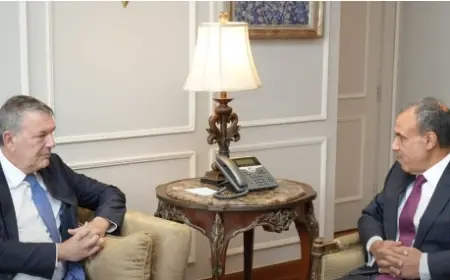 وزير خارجية مصر: لن نسمح بإيجاد بديل عن الأونروا