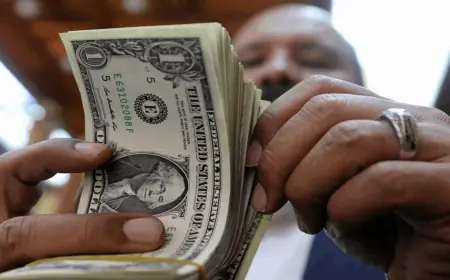 زيادة ضخمة لتحويلات المصريين في الخارج