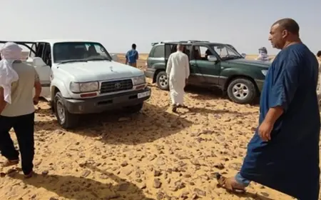 مأساة أليمة خلال رحلة لجوء إلى أوروبا.. وفاة 12 سوريًا عطشًا بصحراء الجزائر
