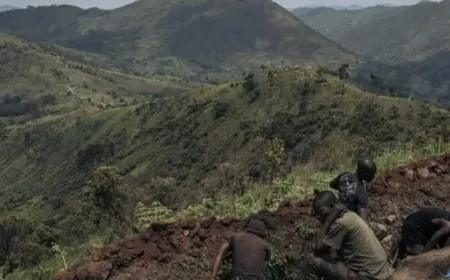 الأمم المتحدة: أوغندا دعمت حركة "إم23" المتمردة في الكونغو