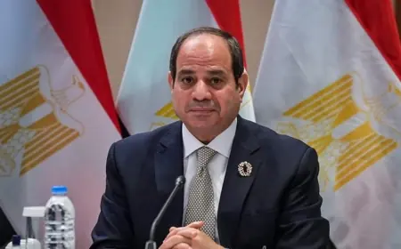 السيسي يبحث مع مدير المخابرات المركزية الأميركية جهود وقف إطلاق النار بغزة