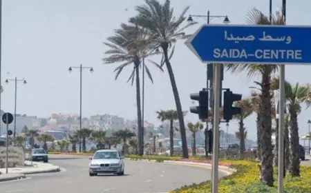 تسطير محضري ضبط بحق محل عصير ومحطة محروقات في صيدا