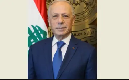 سليم التقى ميقاتي ووزراء ولم يشارك في الجلسة : أتيت بحل قانوني لتصحيح الثغرة في دورة الضباط