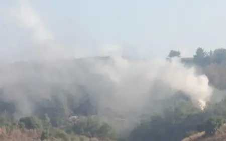 اندلاع النيران في الأحراج بين الضهيرة وعلما الشعب جراء القصف المعادي