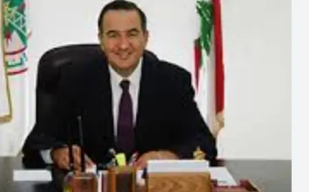 مجلس الوزراء يستدعي المدير العام لمؤسسة كهرباء لبنان كمال الحايك إلى الجلسة للوقوف عند رأيه بملف الفيول العراقي وأزمة الكهرباء