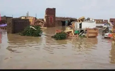 فيضانات تضرب جنوب شرق السودان
