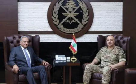 استقبالات العماد قائد الجيش