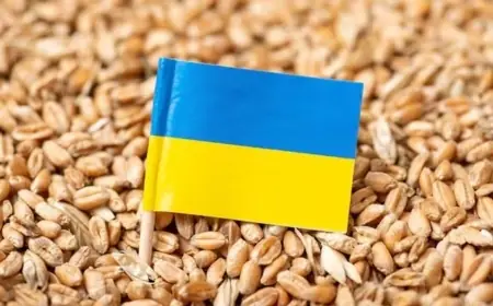 أوكرانيا تُصادر سفينة نقلت حبوباً من القرم