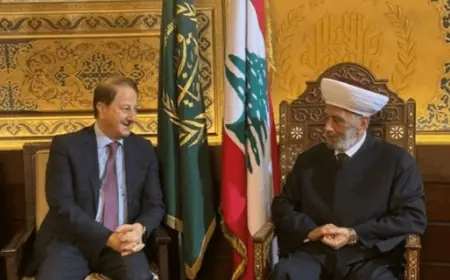 دريان استقبل رئيس تيار "القرار اللبناني" واللواء صليبا