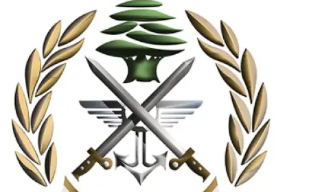في الدورة.. مخابرات الجيش توقف سوري تهجّم على حافلة نقل مشترك