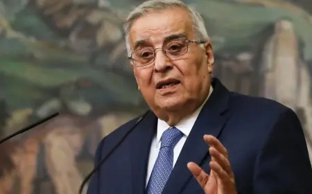 بوحبيب: أمن جنوب لبنان يعتمد على تنفيذ القرار ١٧٠١ ولاحقاً إبرام اتفاق نهائي على الحدود