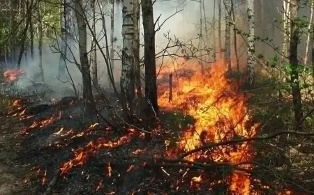 روسيا تعلن حالة الطوارئ في نوفوروسيسك