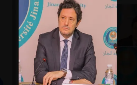 المكاري: ميقاتي جدد المطالبة بتنفيذ الـ 1701