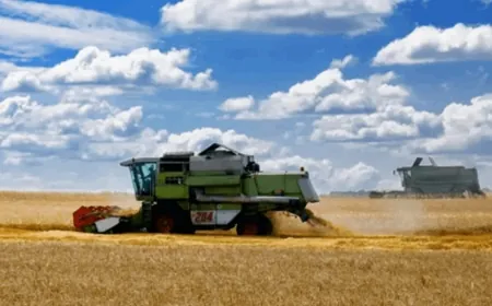 أوكرانيا أرسلت ألف طن من دقيق القمح للفلسطينيين في قطاع غزة