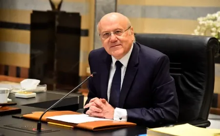 ميقاتي اطلع من خطار على أوضاع الدفاع المدني