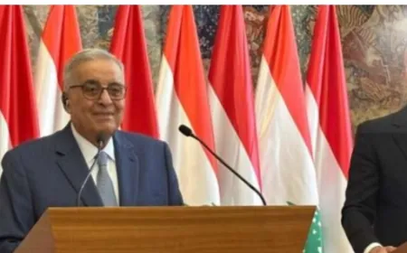 بوحبيب: لبنان يصر على تطبيق إسرائيل الـ1701 وبظل الاحتلال من الطبيعي أن تكون هناك مقاومة
