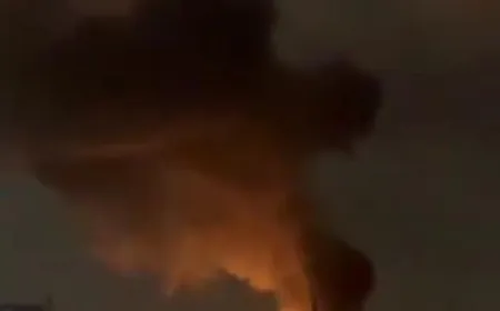 بالفيديو - غارة على أرض زراعية في السهل الساحلي بين عدلون والخرايب جنوب لبنان.