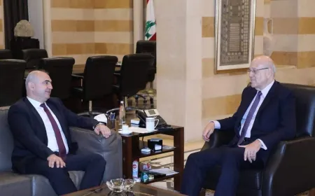 سلسلة لقاءات لميقاتي في السراي!