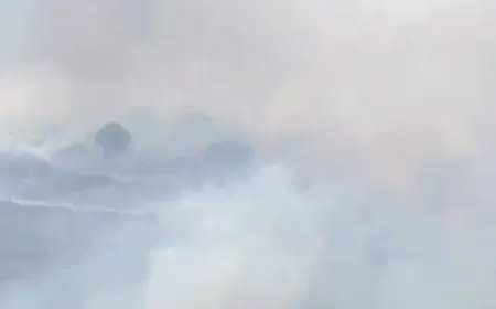 بالفيديو - مستوطنون يشعلون النيران في أراضي أهالي قرية بورين جنوب ‎نابلس.