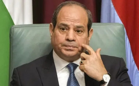 السيسي: الواقع الإقليمي يفرض على مصر "أعباءً هائلة