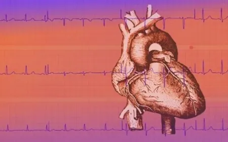 اليابان تبتكر نظام لاستعادة وظيفة الدورة الدموية للقلب في غضون 3 دقائق من توقفه