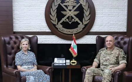 العماد عون استقبل سفيرة السويد في زيارة وداعية وعرض الأوضاع مع أبو فاعور